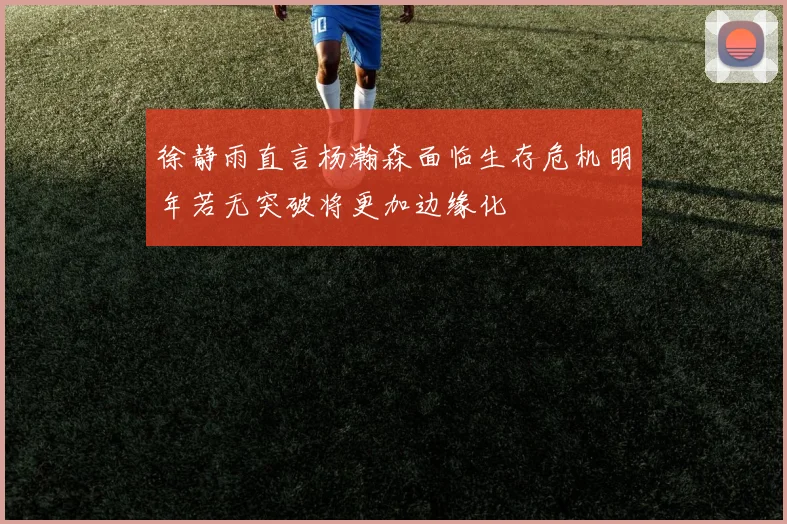 徐静雨直言杨瀚森面临生存危机明年若无突破将更加边缘化