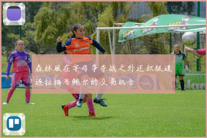 森林狼在字母争夺战之外还积极追逐拉梅洛鲍尔的交易机会